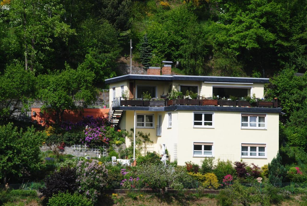 Ferienwohnung Haus Am Sommerberg Ludwigsstadt Exteriör bild